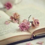 دانلود آهنگ لجباز لجباز دلبر ناز با تو شیرین – ترند دانلود آهنگ لجباز لجباز دلبر ناز با تو شیرین – ترند