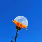 دانلود آهنگ لی لی حوضک با صدای زن دانلود آهنگ لی لی حوضک با صدای زن