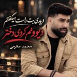 دانلود آهنگ محمد محرمی دیدی بت راست میگفتم دیوونم کردی دختر