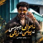 دانلود اهنگ نه احوالی میپرسی نه پیامی نه زنگی از وحید عباسی