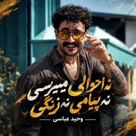 نه احوالی میپرسی نه پیامی نه زنگی از وحید عباسی