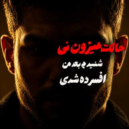 شنیدم بعد من افسرده شدی حالت میزون نی از میر احمد