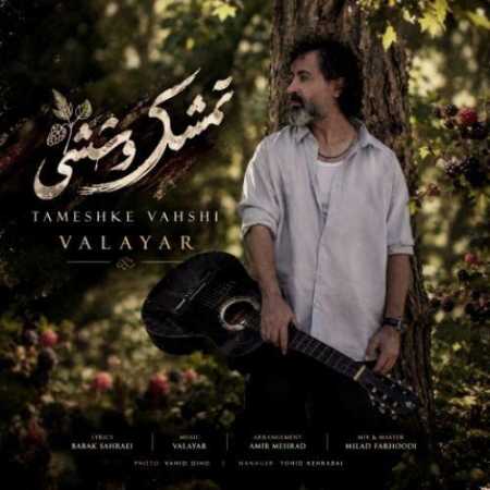 والایار تمشک وحشی